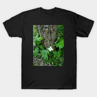 White Flower T-Shirt